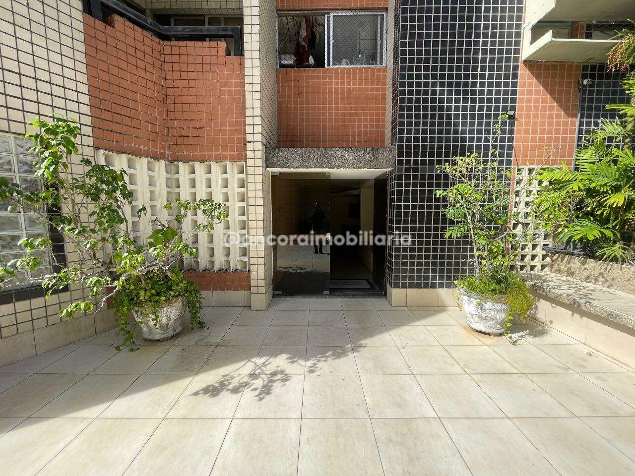 Apartamento para aluguel no Espinheiro: 