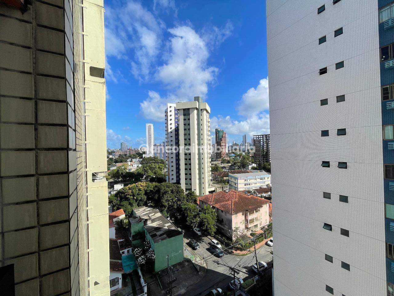 Apartamento para aluguel no Espinheiro: 