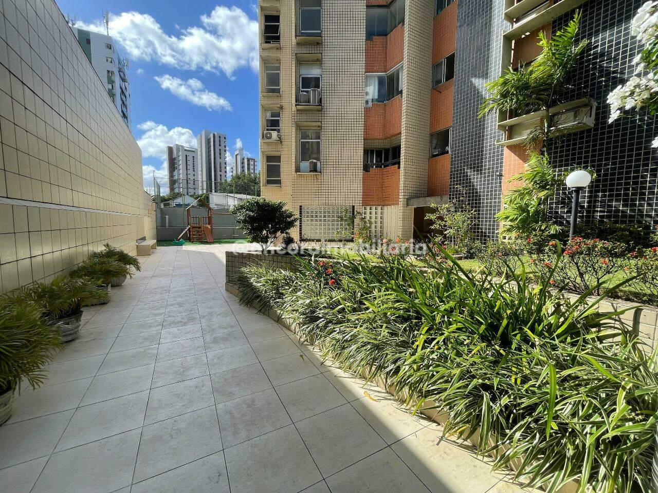 Apartamento para aluguel no Espinheiro: 