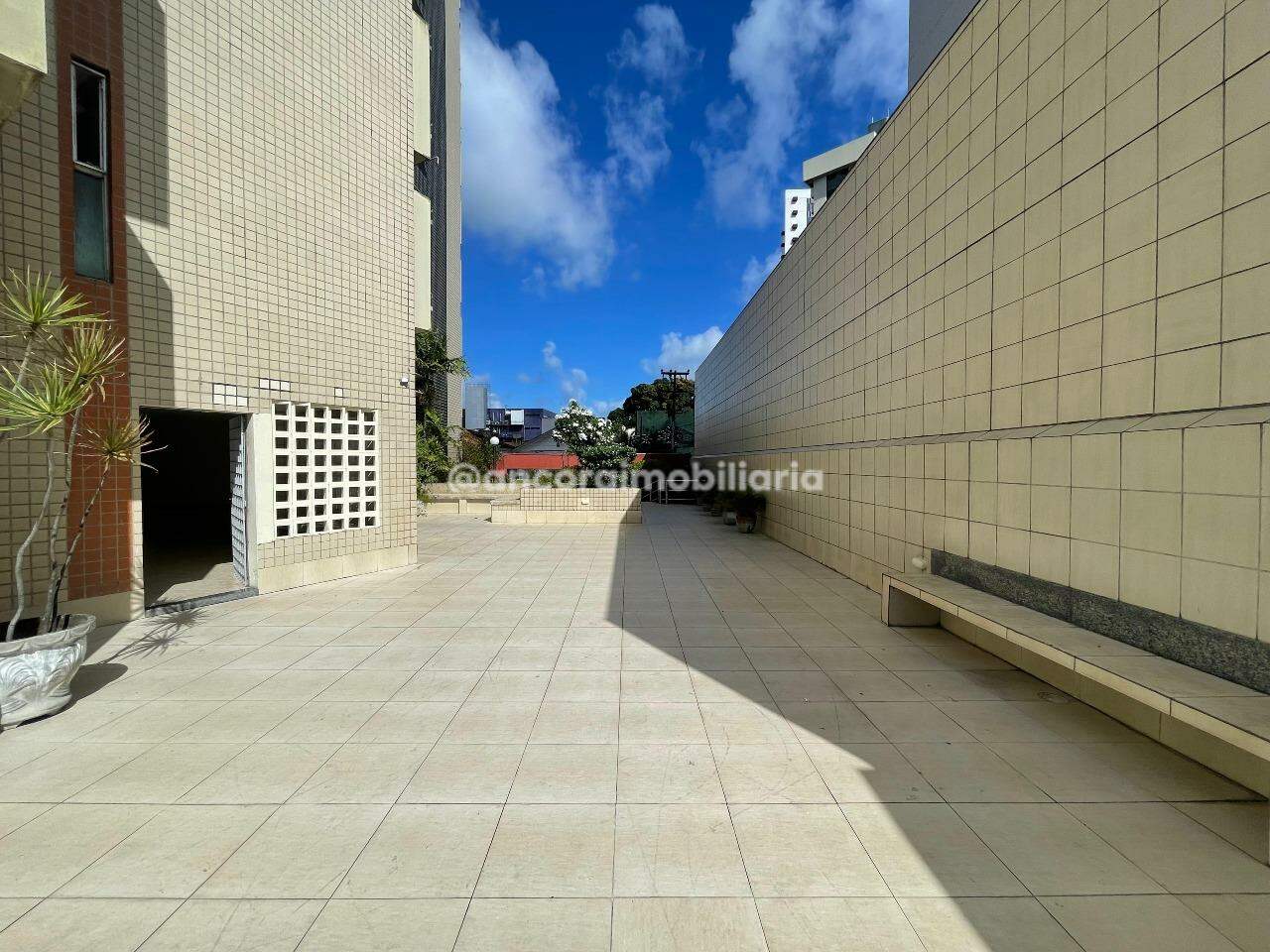 Apartamento para aluguel no Espinheiro: 