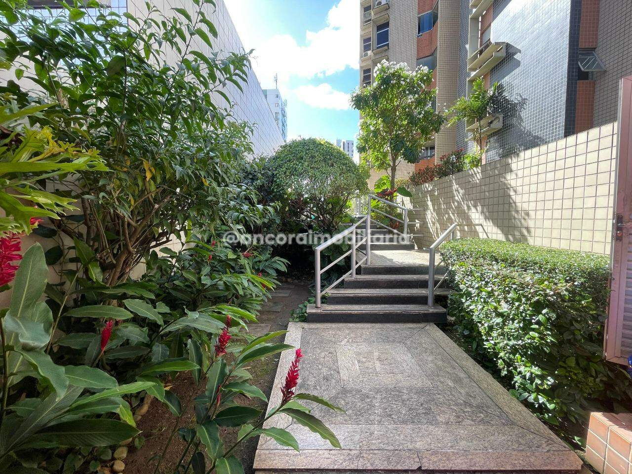 Apartamento para aluguel no Espinheiro: 
