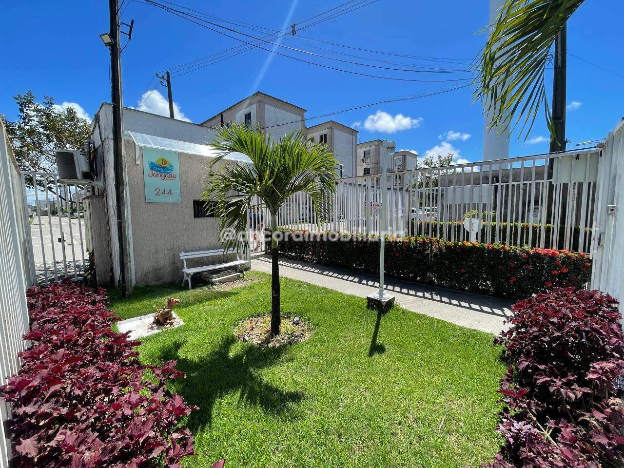 Apartamento para aluguel no Barra de Jangada: 