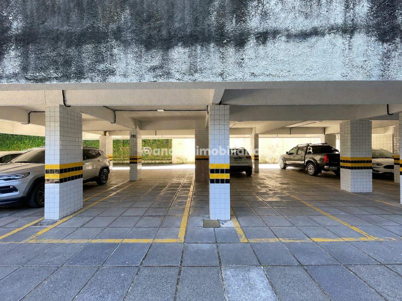 Apartamento para aluguel no Espinheiro: 