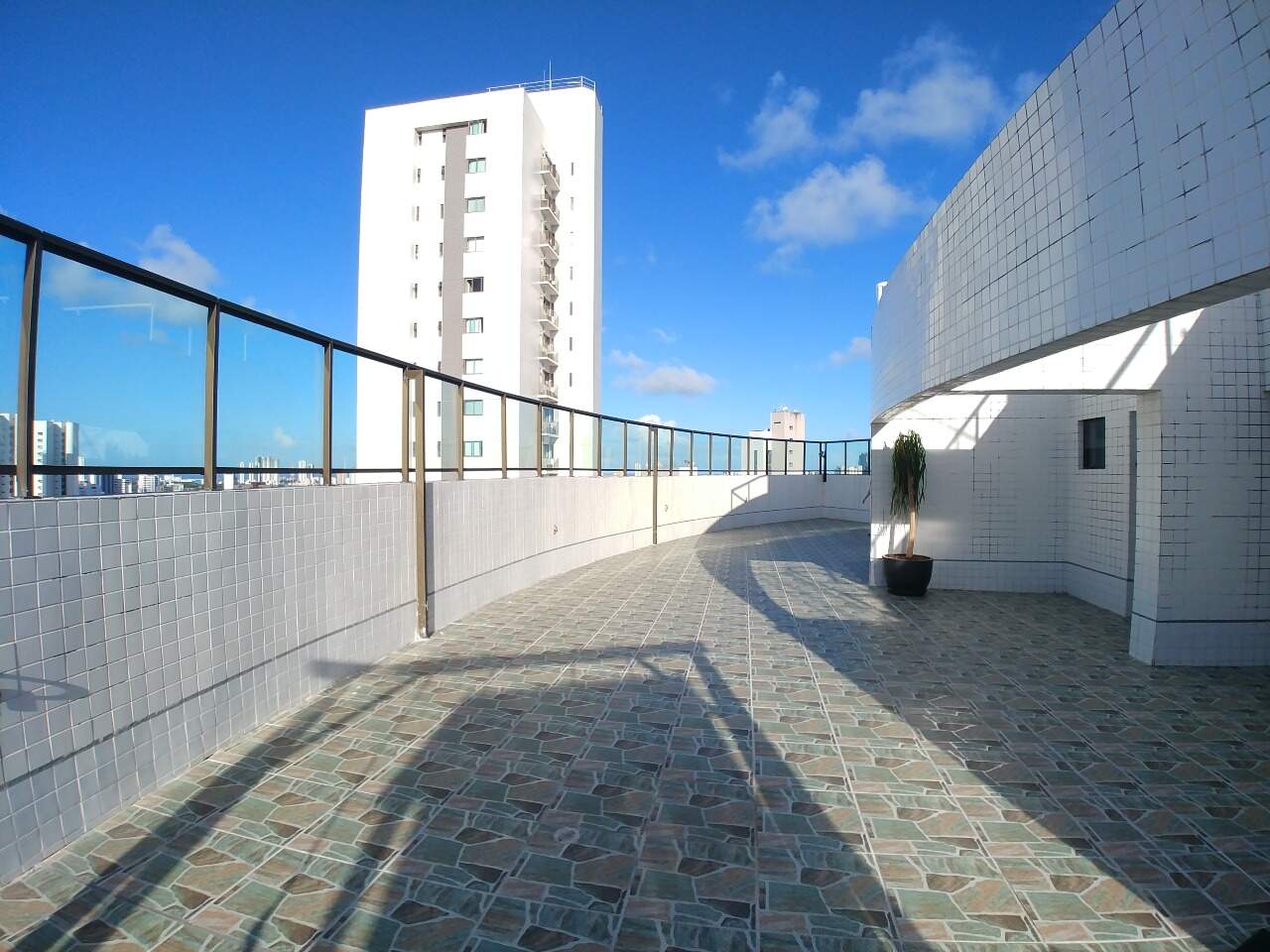 Apartamento para aluguel no Madalena: 