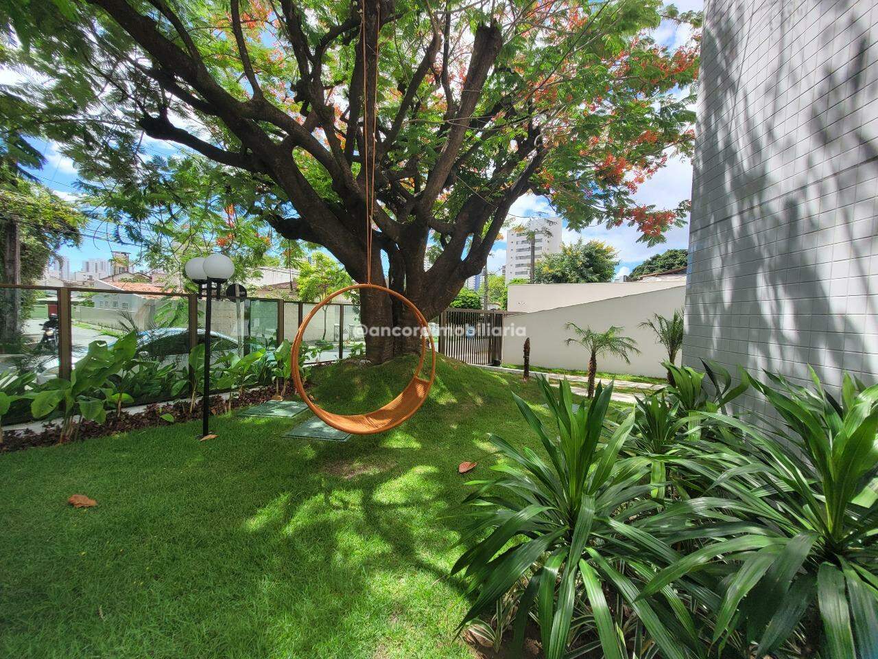 Apartamento para aluguel no Tamarineira: 