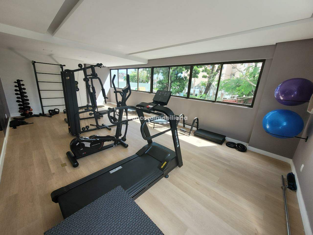 Apartamento para aluguel no Tamarineira: 