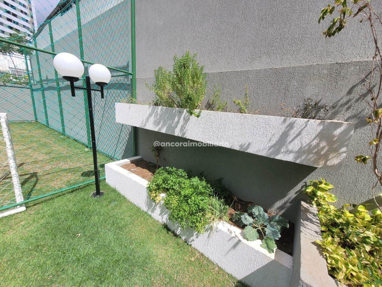 Apartamento para aluguel no Tamarineira: 