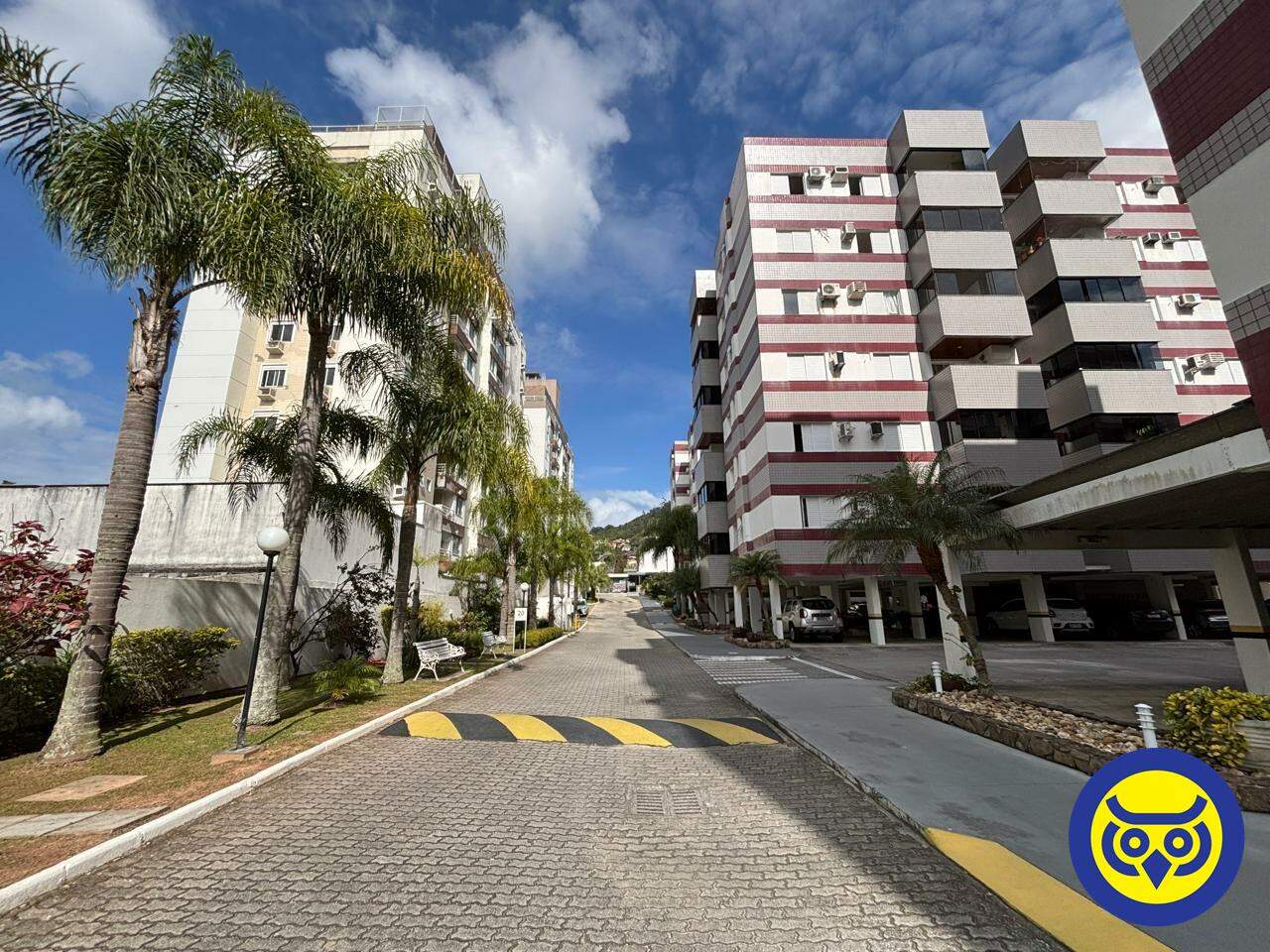 Apartamento para aluguel no Trindade: 