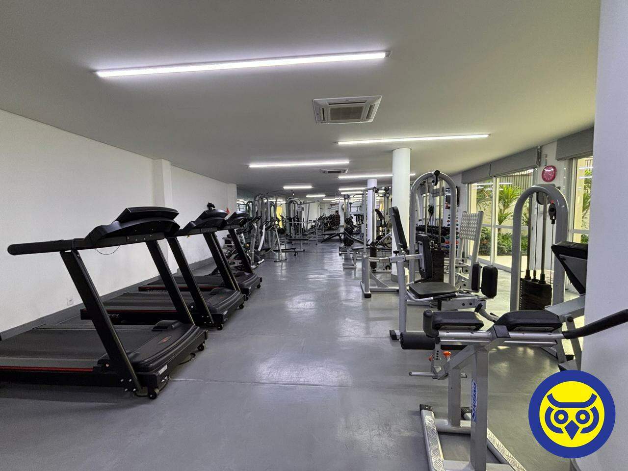 Apartamento para aluguel no Trindade: 