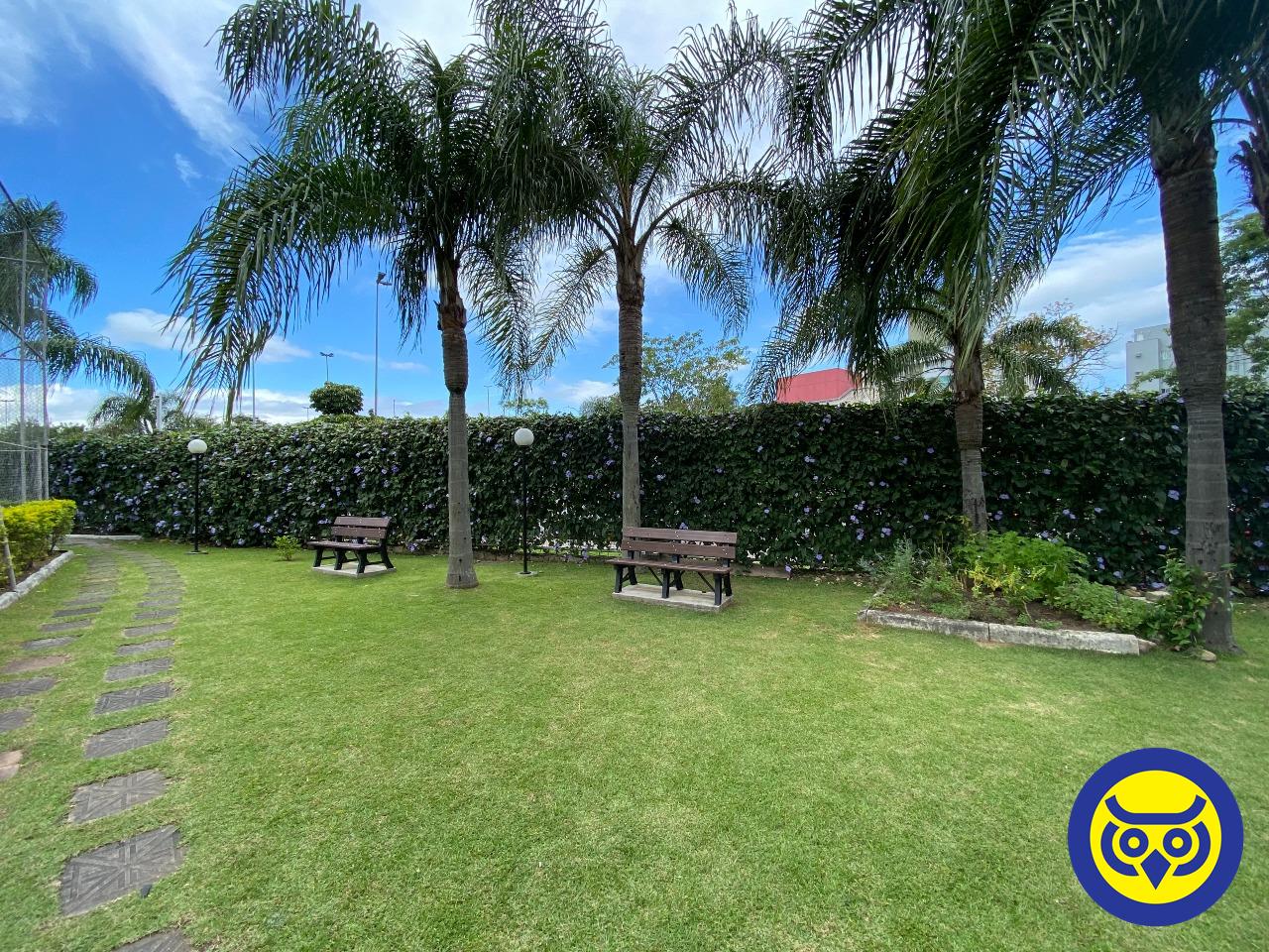 Apartamento para aluguel no Trindade: 