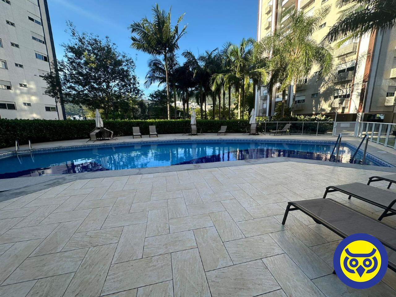 Apartamento para aluguel no Parque São Jorge: 