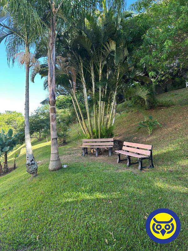 Apartamento para aluguel no Itacorubi: 