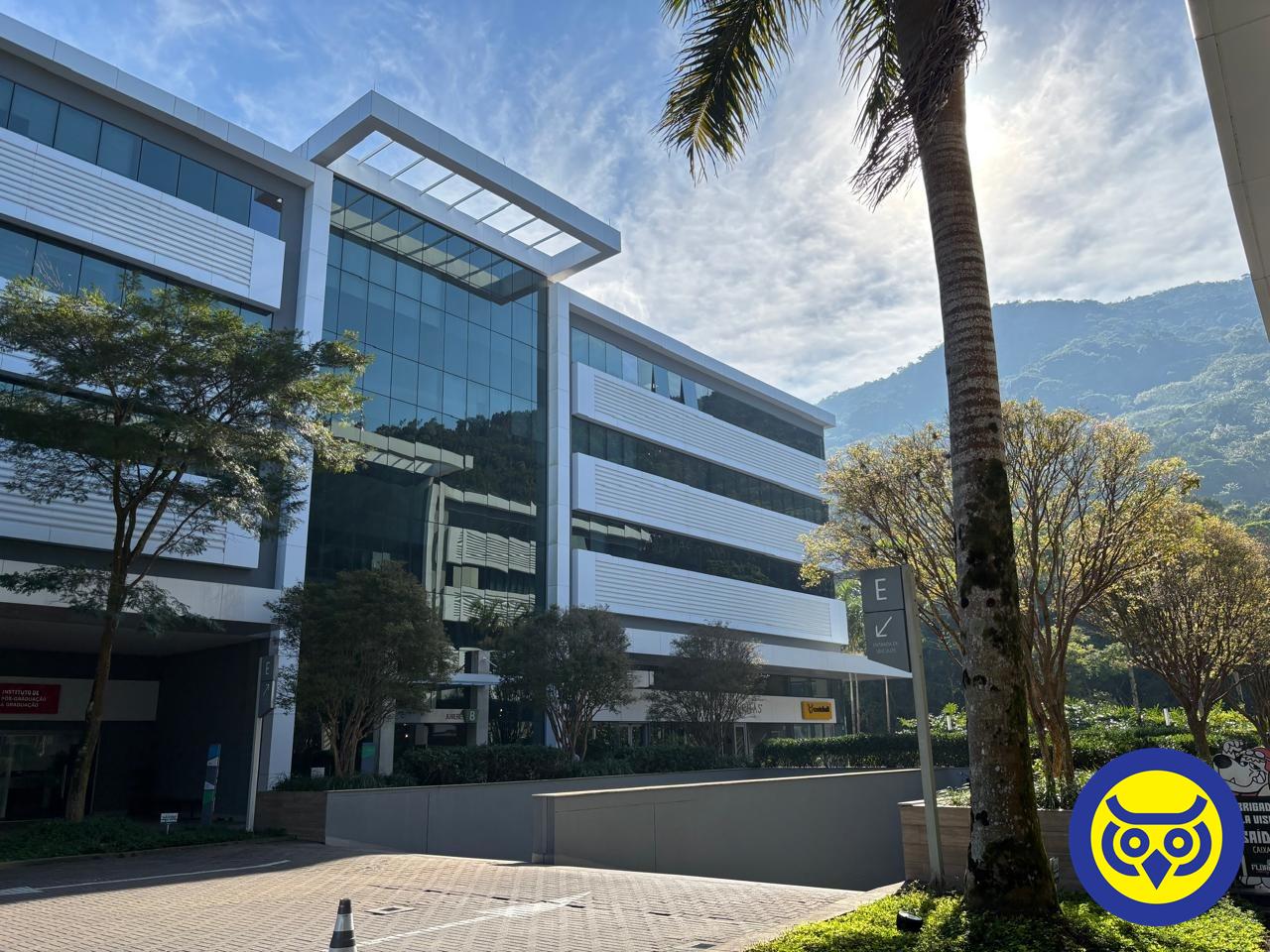 Salas/Conjuntos para aluguel no Saco Grande: