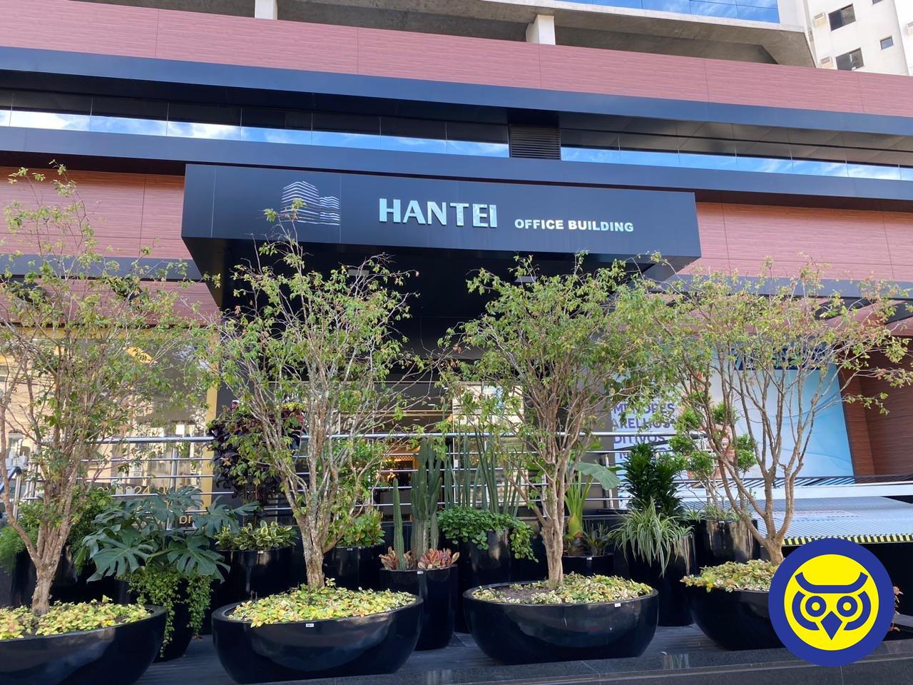 Salas/Conjuntos para aluguel no Centro: 