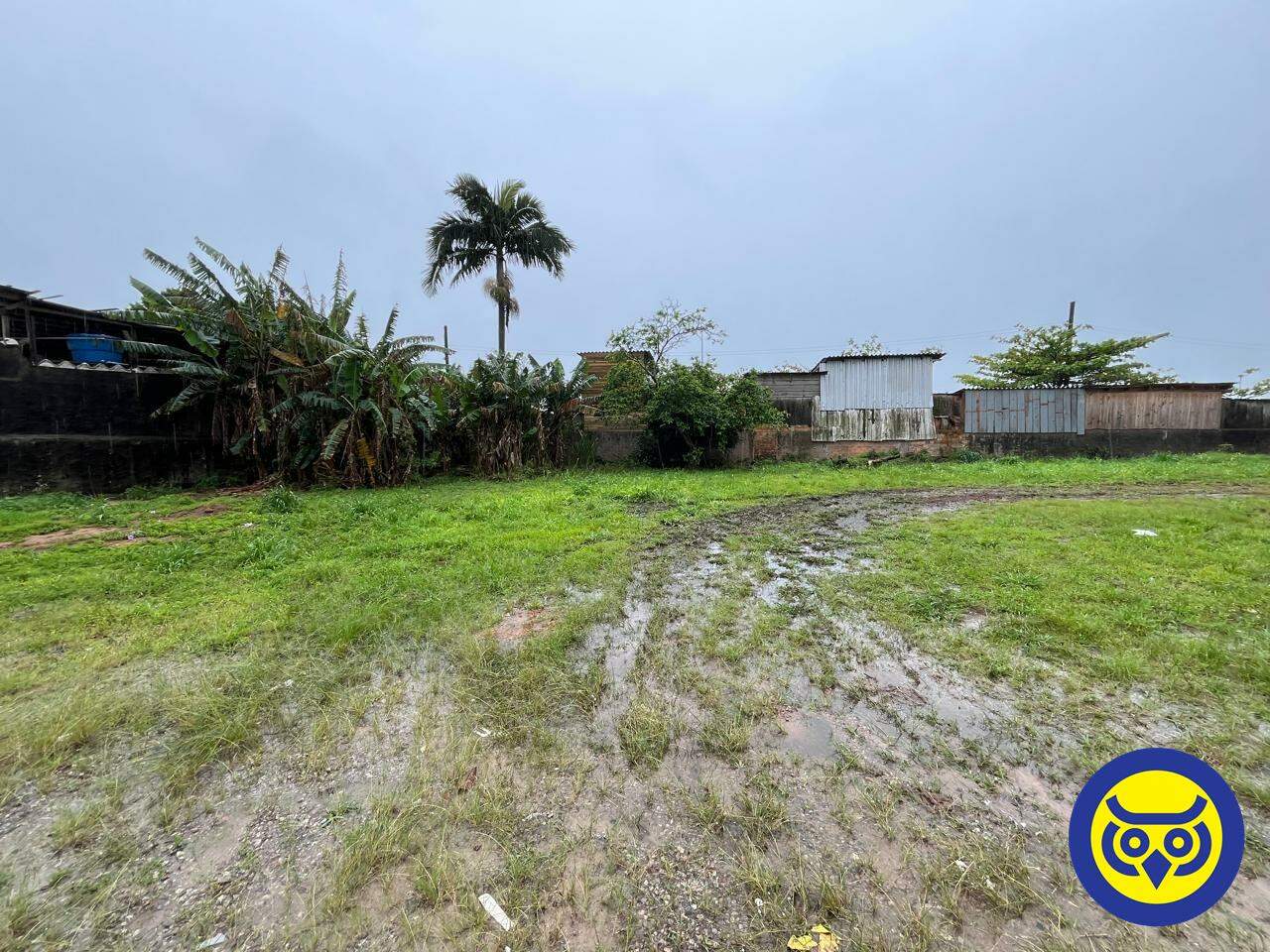 Galpão para aluguel no Serraria: 