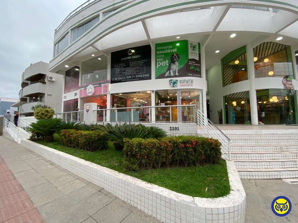 Salas/Conjuntos para aluguel no Córrego Grande: 