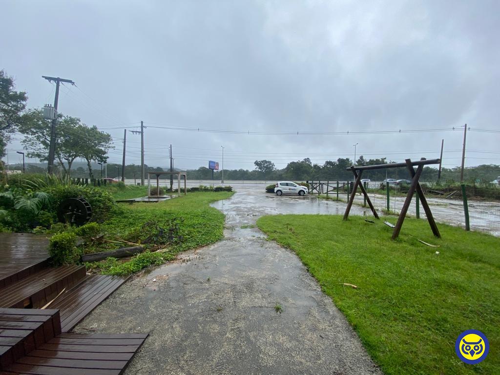 Terreno Comercial para aluguel no Santo Antônio De Lisboa: 