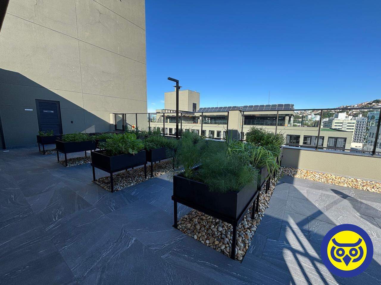 Apartamento para aluguel no Trindade: 