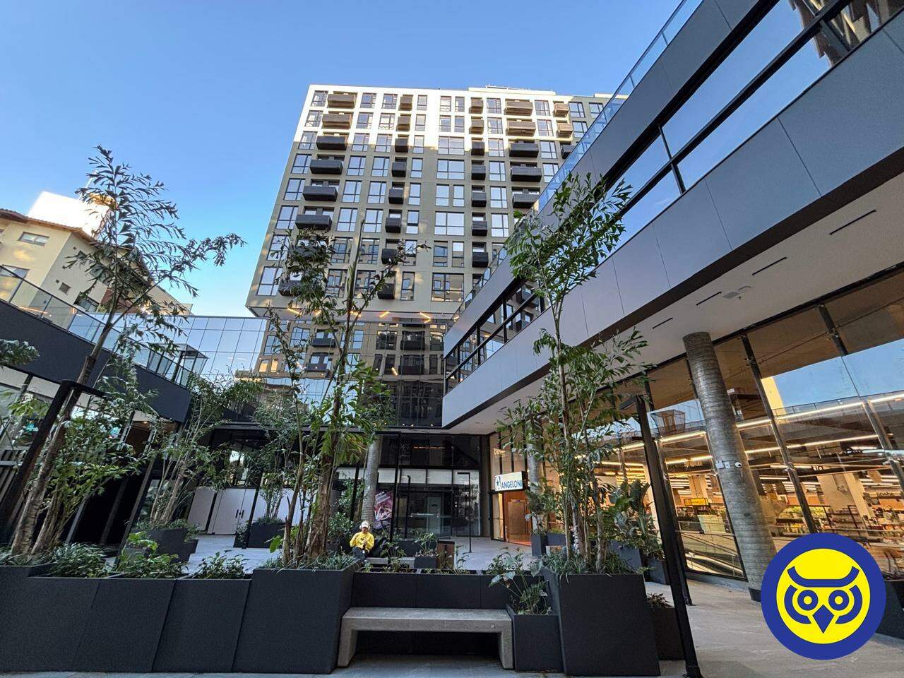 Apartamento para aluguel no Trindade: 