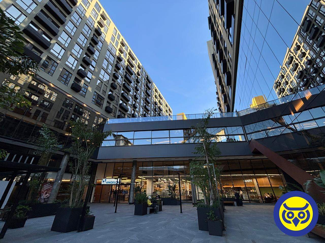 Apartamento para aluguel no Trindade: 