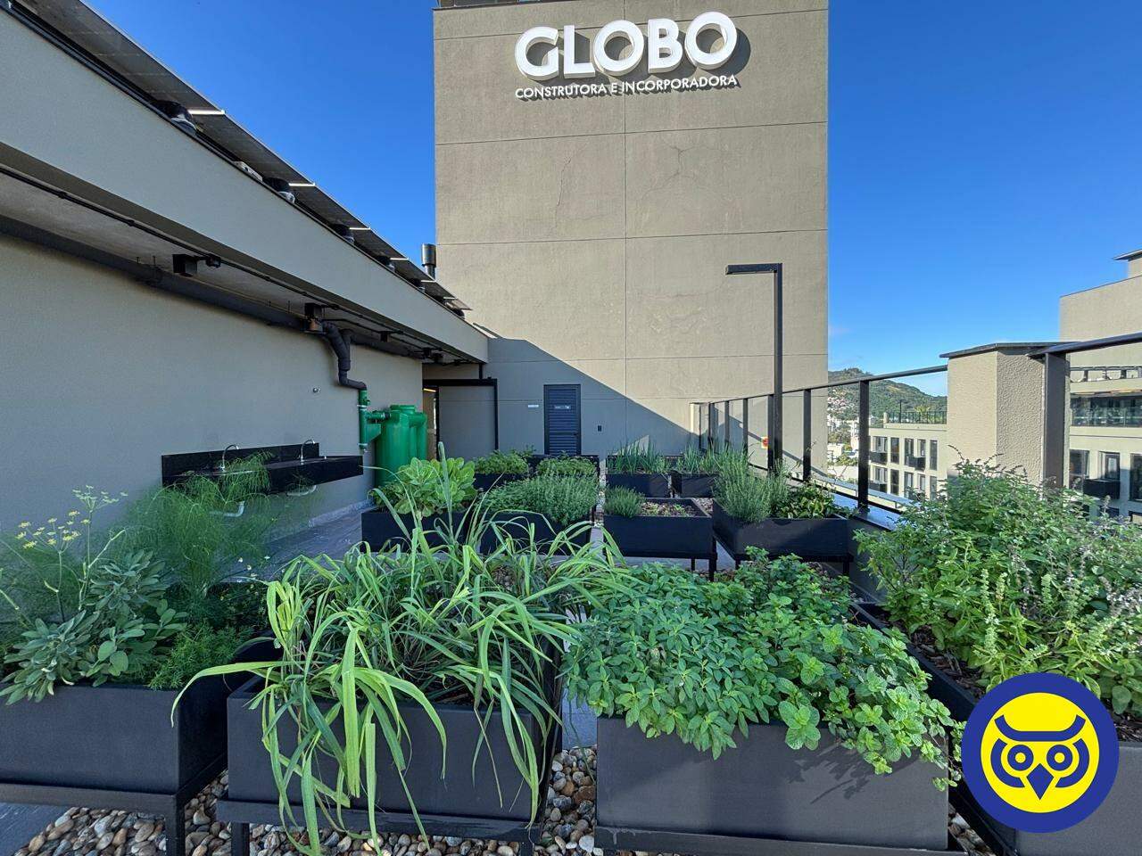 Apartamento para aluguel no Trindade: 