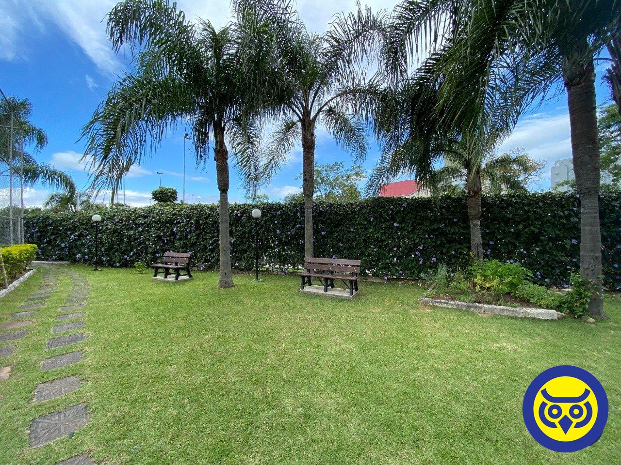 Apartamento para aluguel no Trindade: 