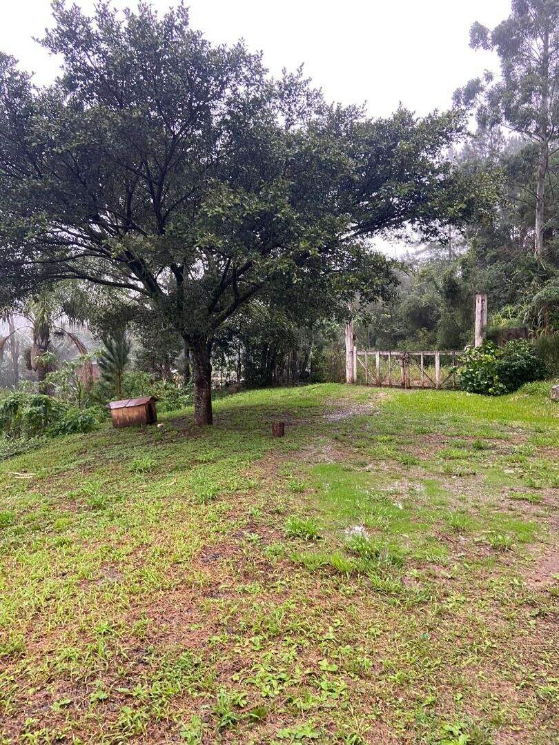 Área à venda no Zona Rural: 