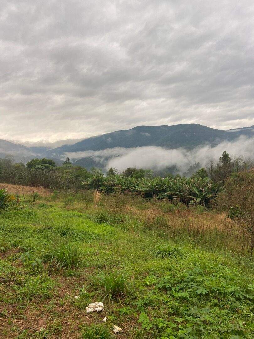 Área à venda no Zona Rural: 