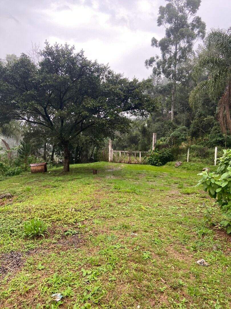 Área à venda no Zona Rural: 