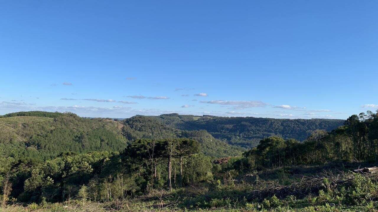 Área à venda no Casa Grande: 