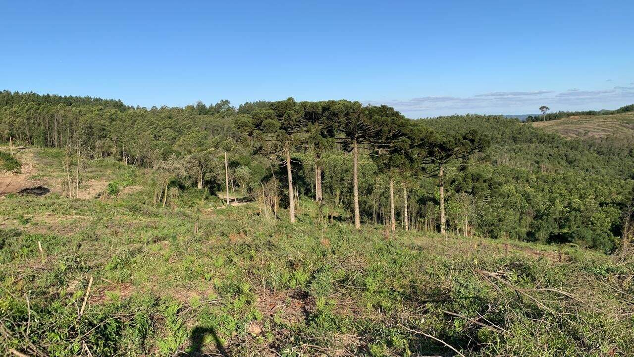 Área à venda no Casa Grande: 