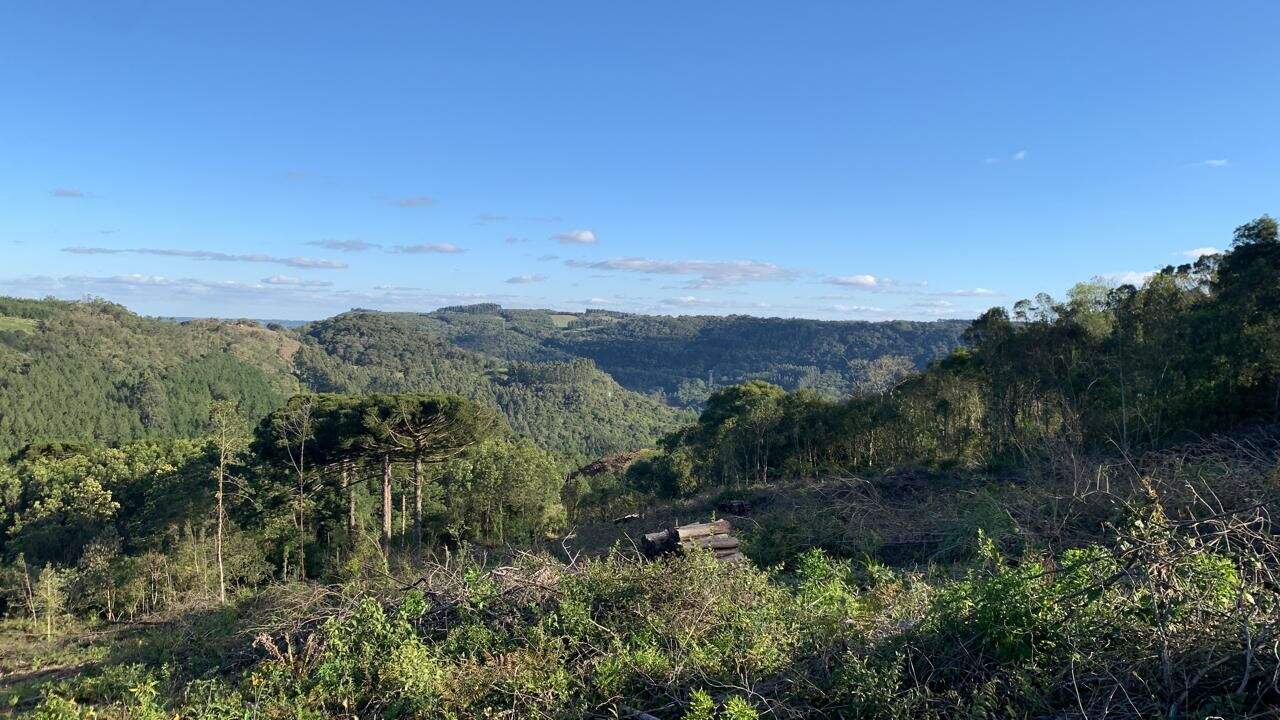 Área à venda no Casa Grande: 