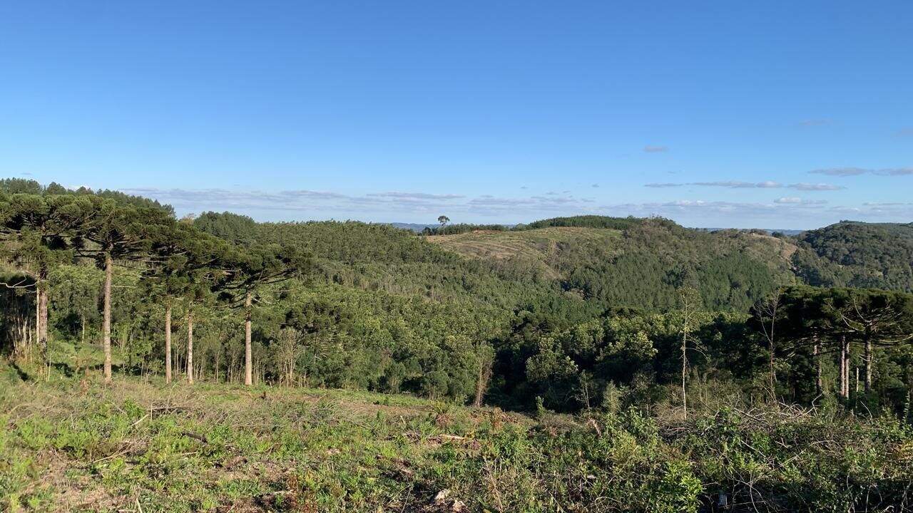 Área à venda no Casa Grande: 