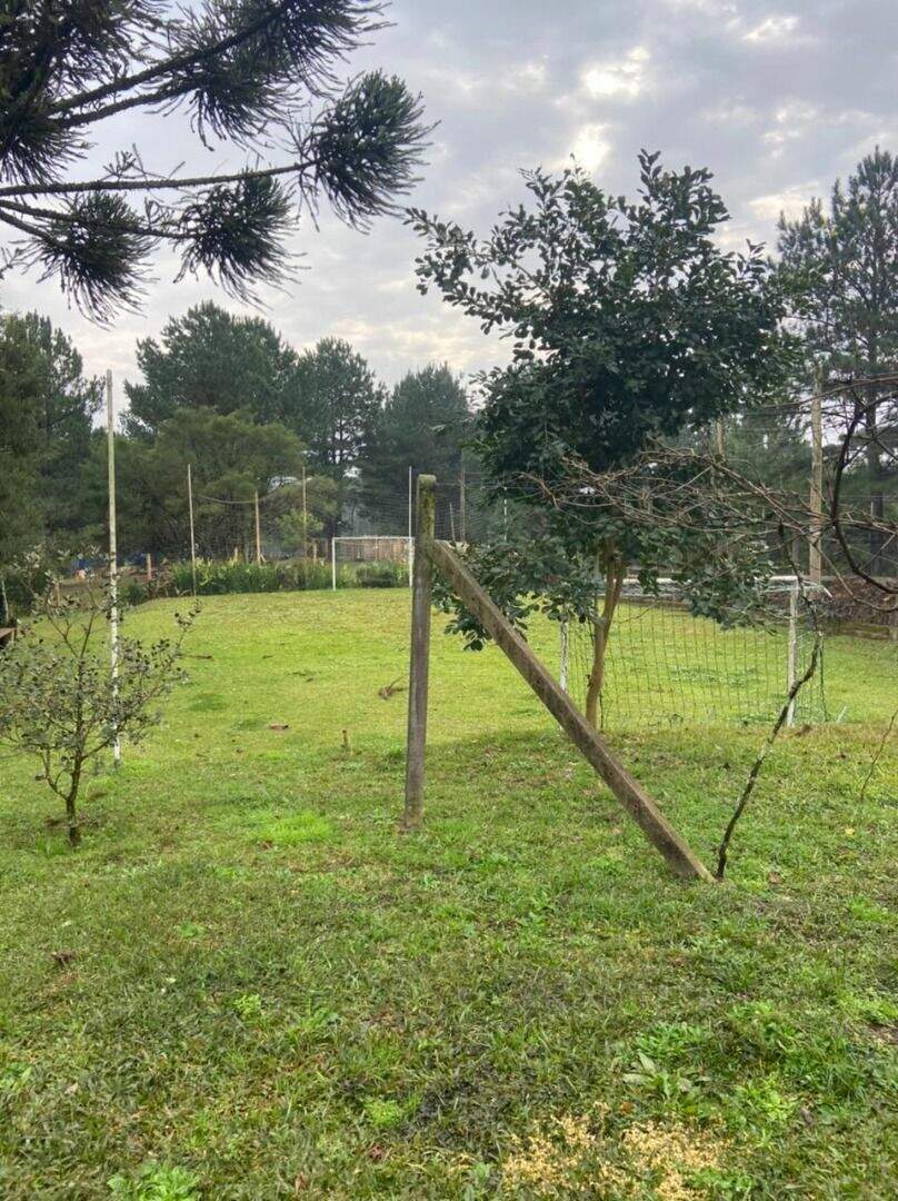 Chácara à venda no Ulisses de Abreu: 