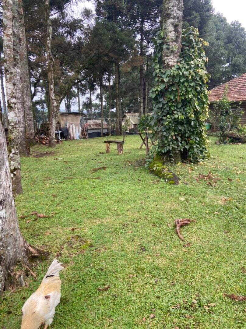 Chácara à venda no Ulisses de Abreu: 