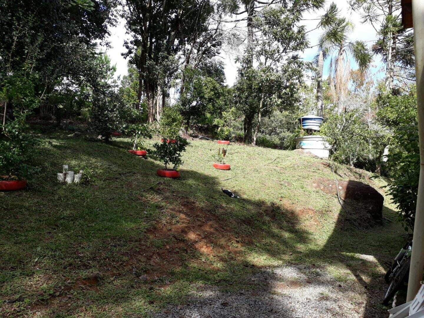 Terreno à venda no Carazal: 
