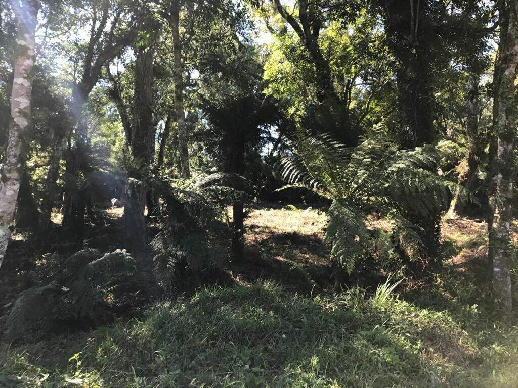 Terreno à venda no Alpes Verdes: 