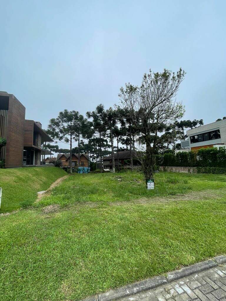 Terreno à venda no Pórtico: 