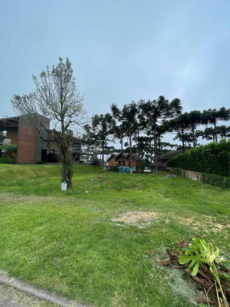 Terreno à venda no Pórtico: 