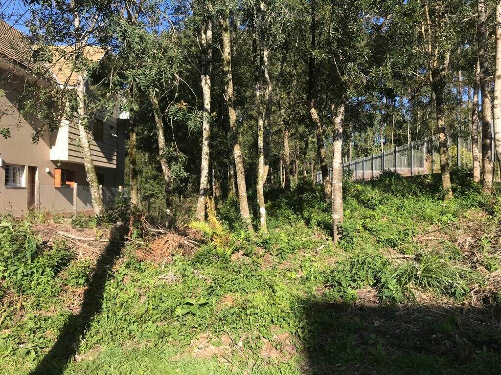 Terreno à venda no Vale das Colinas: 