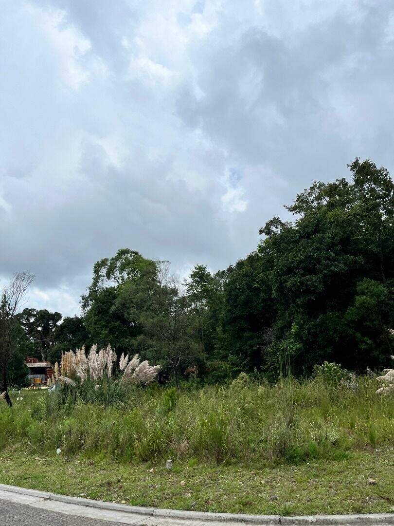 Terreno à venda no Vivendas Do Arvoredo: 