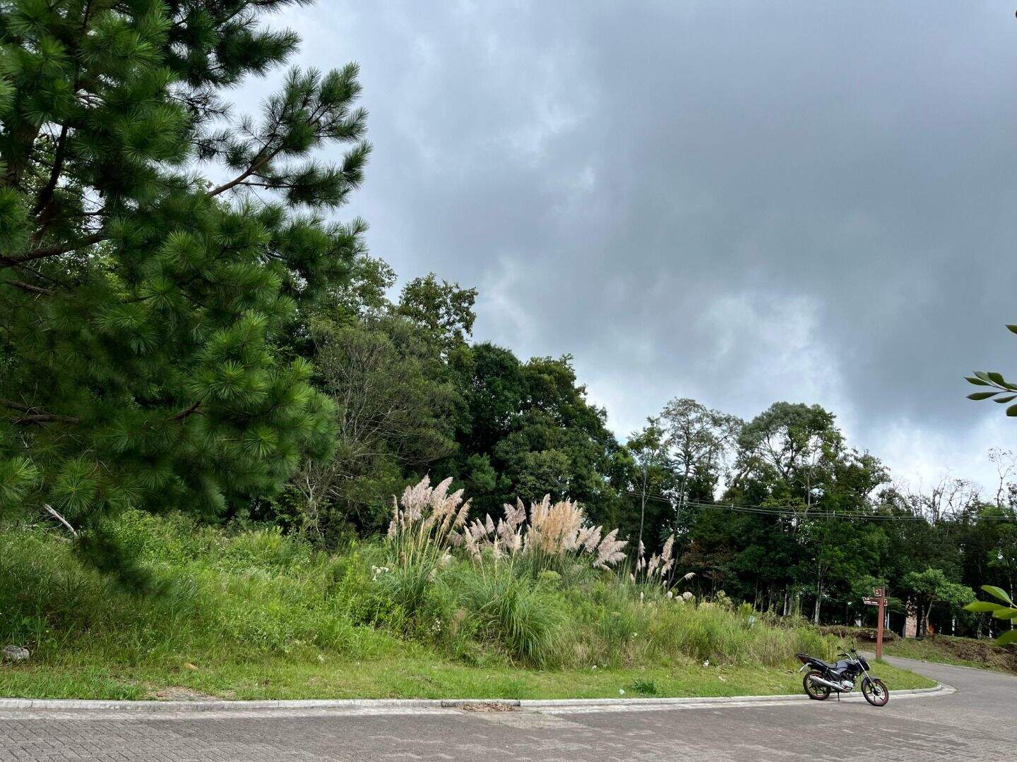 Terreno à venda no Vivendas Do Arvoredo: 