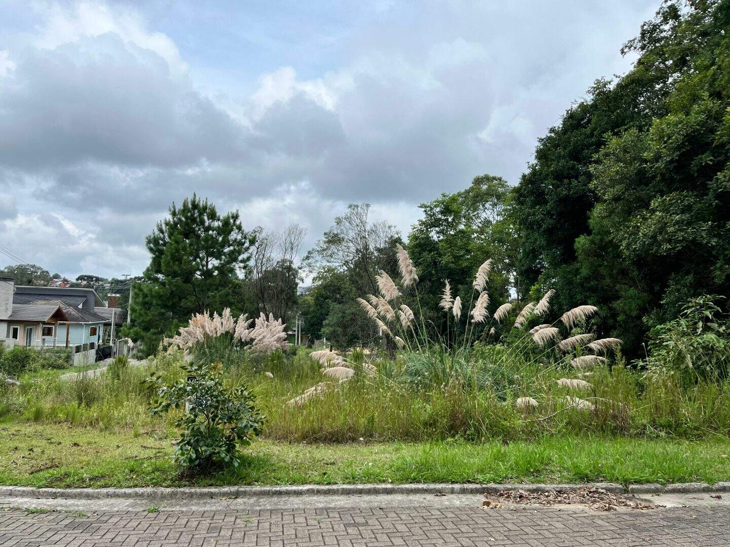 Terreno à venda no Vivendas Do Arvoredo: 