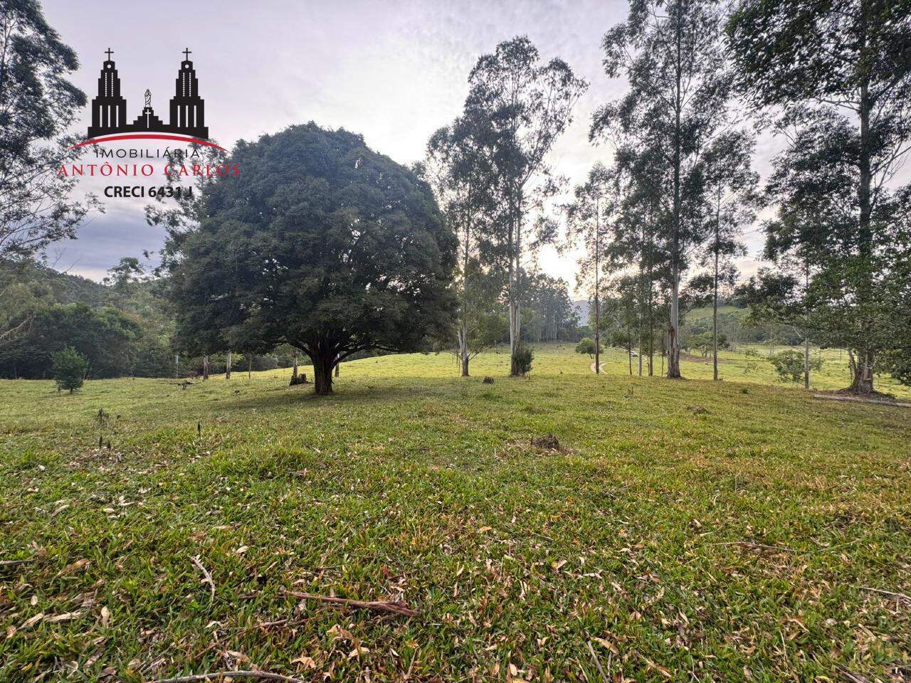 Sítio à venda no Distrito Rio D'Una: 