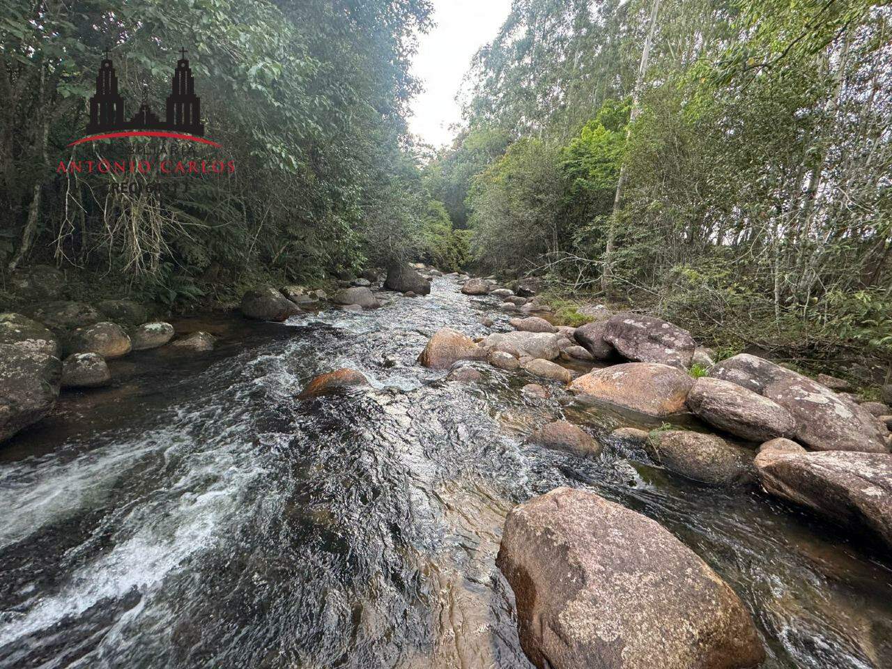 Sítio à venda no Distrito Rio D'Una: 