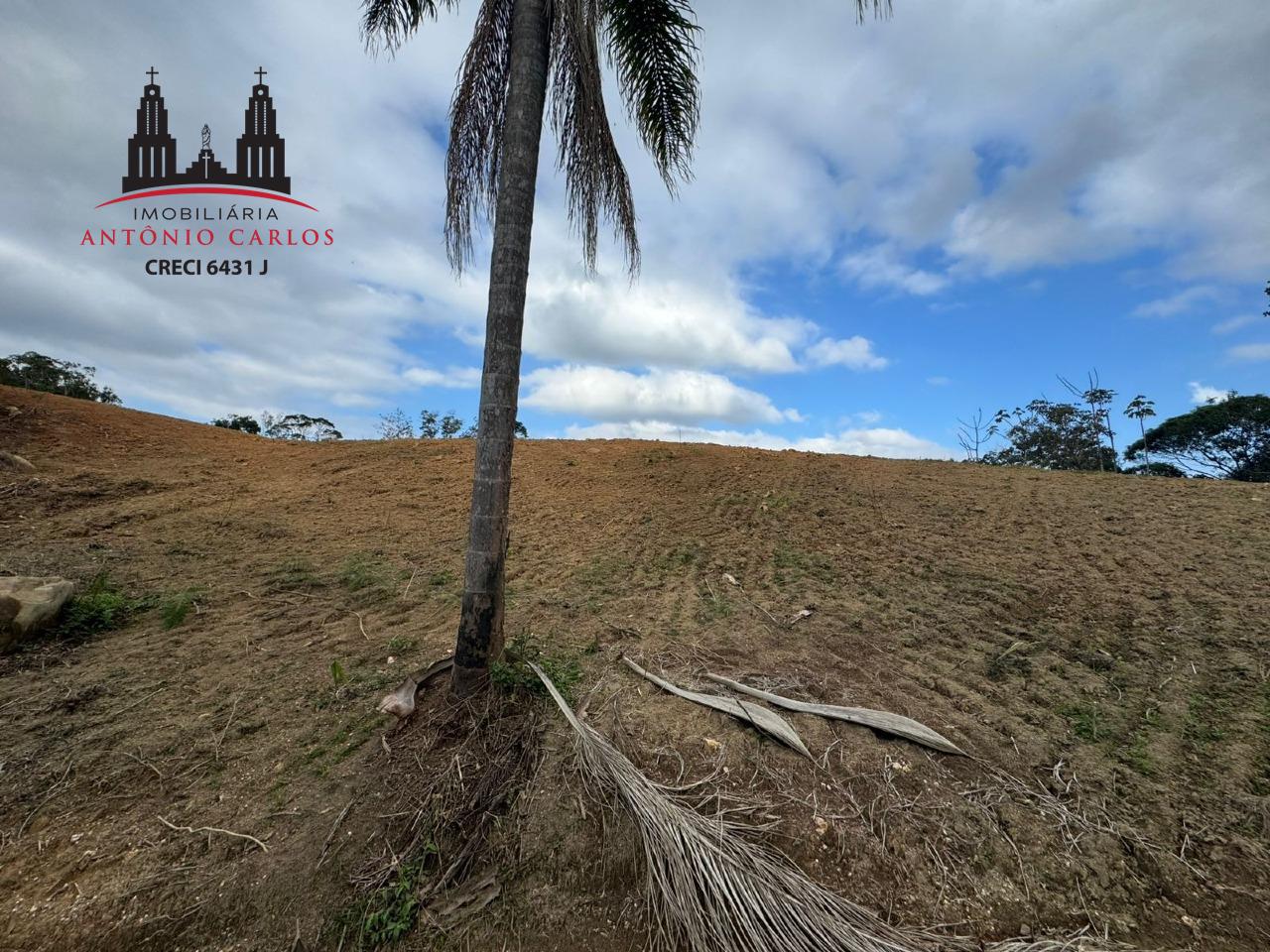 Sítio à venda no Santa Barbara: 