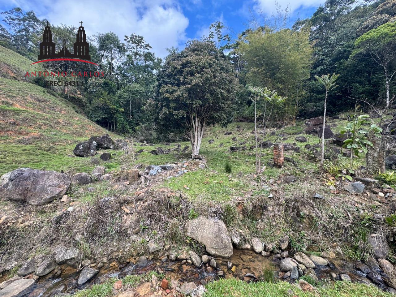 Sítio à venda no Área Rural de Antônio Carlos: 