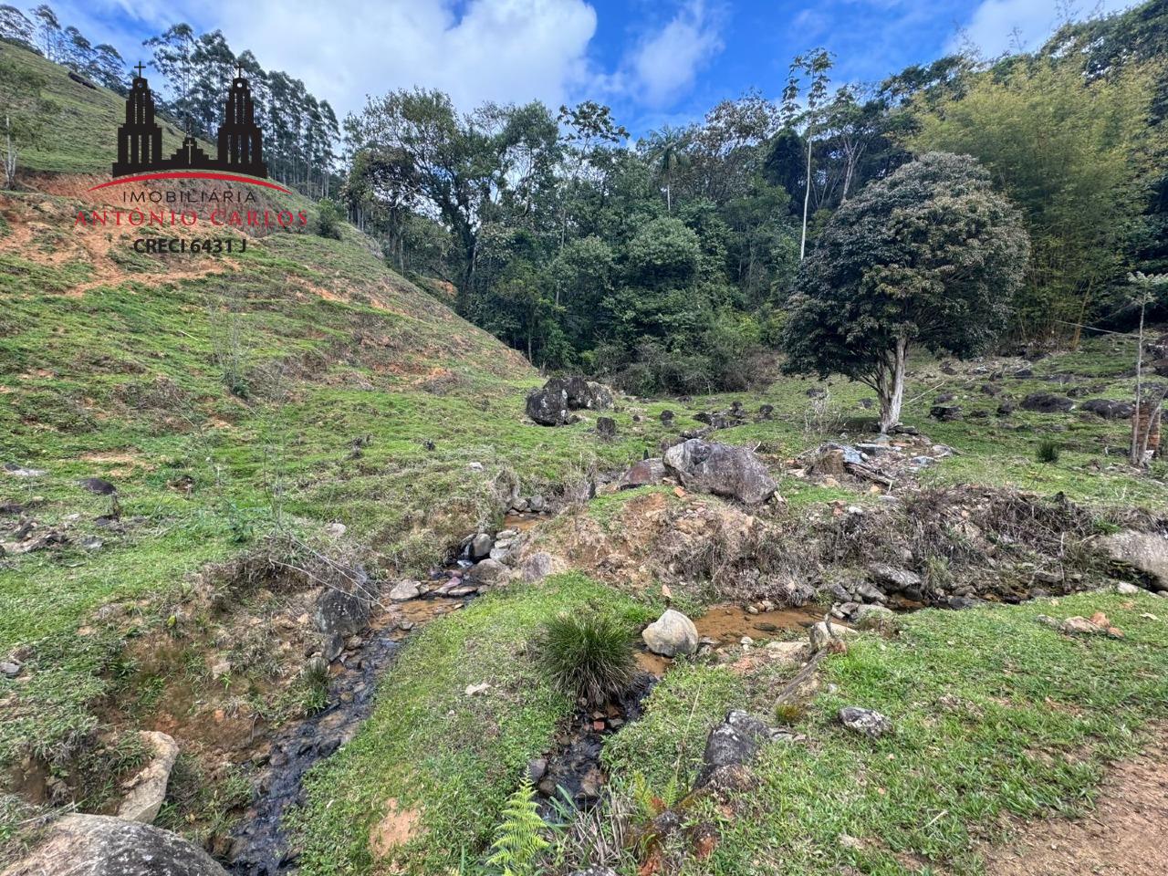 Sítio à venda no Área Rural de Antônio Carlos: 