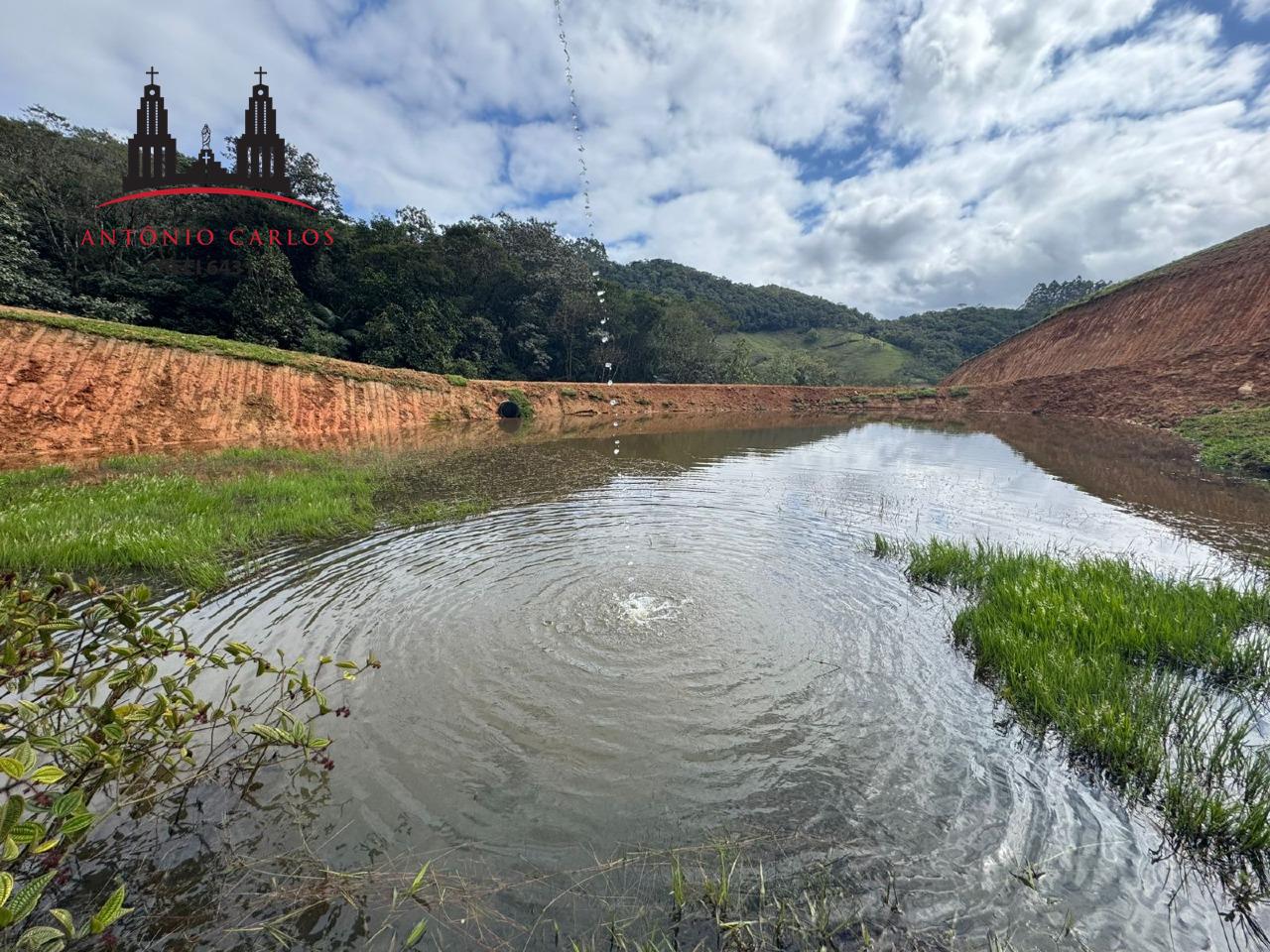 Sítio à venda no Área Rural de Antônio Carlos: 