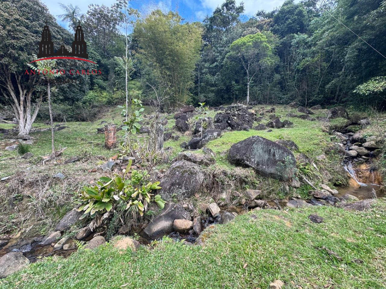 Sítio à venda no Área Rural de Antônio Carlos: 